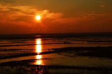 Mélissa FONDIN - MELPHOTOS