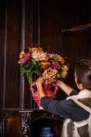 Maxence LE MÉZO - QIVI