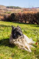 Thibaud GURY - CIMES&CINEMA