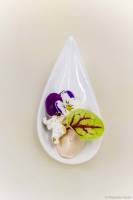 Alexandre BADOT - BADOT ALEXANDRE